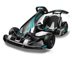 Kart Electric Segway Ninebot Gokart PRO 2